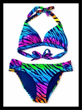 💕ⓅⒾⓃⓀ ⓋⓈ 2 Piece Colorful Animal Print Bikini💕